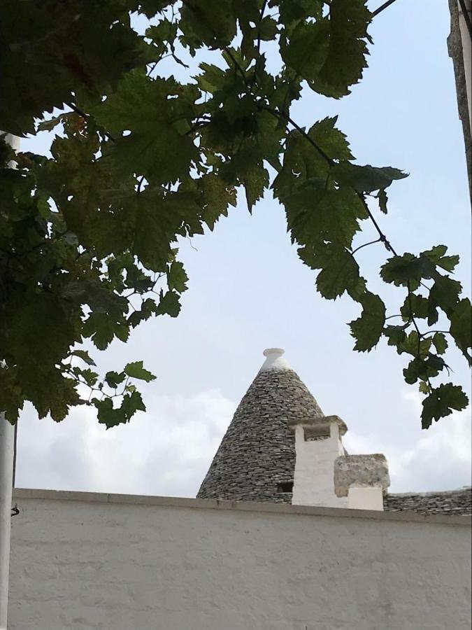 Vila Il Trullo Del Palmento Alberobello Exteriér fotografie
